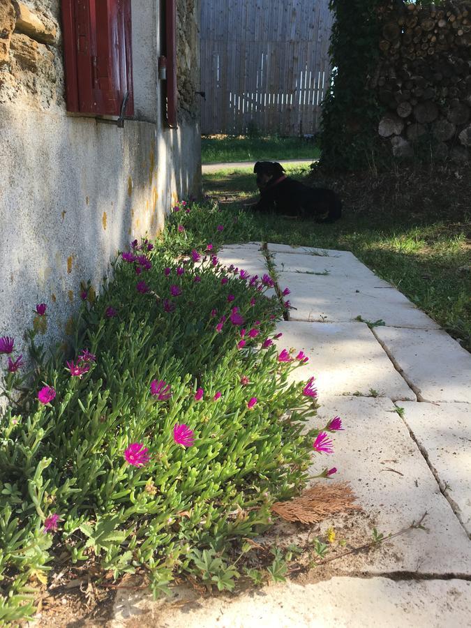 Gite Le Puy Rabasteau Otel Chantonnay Dış mekan fotoğraf